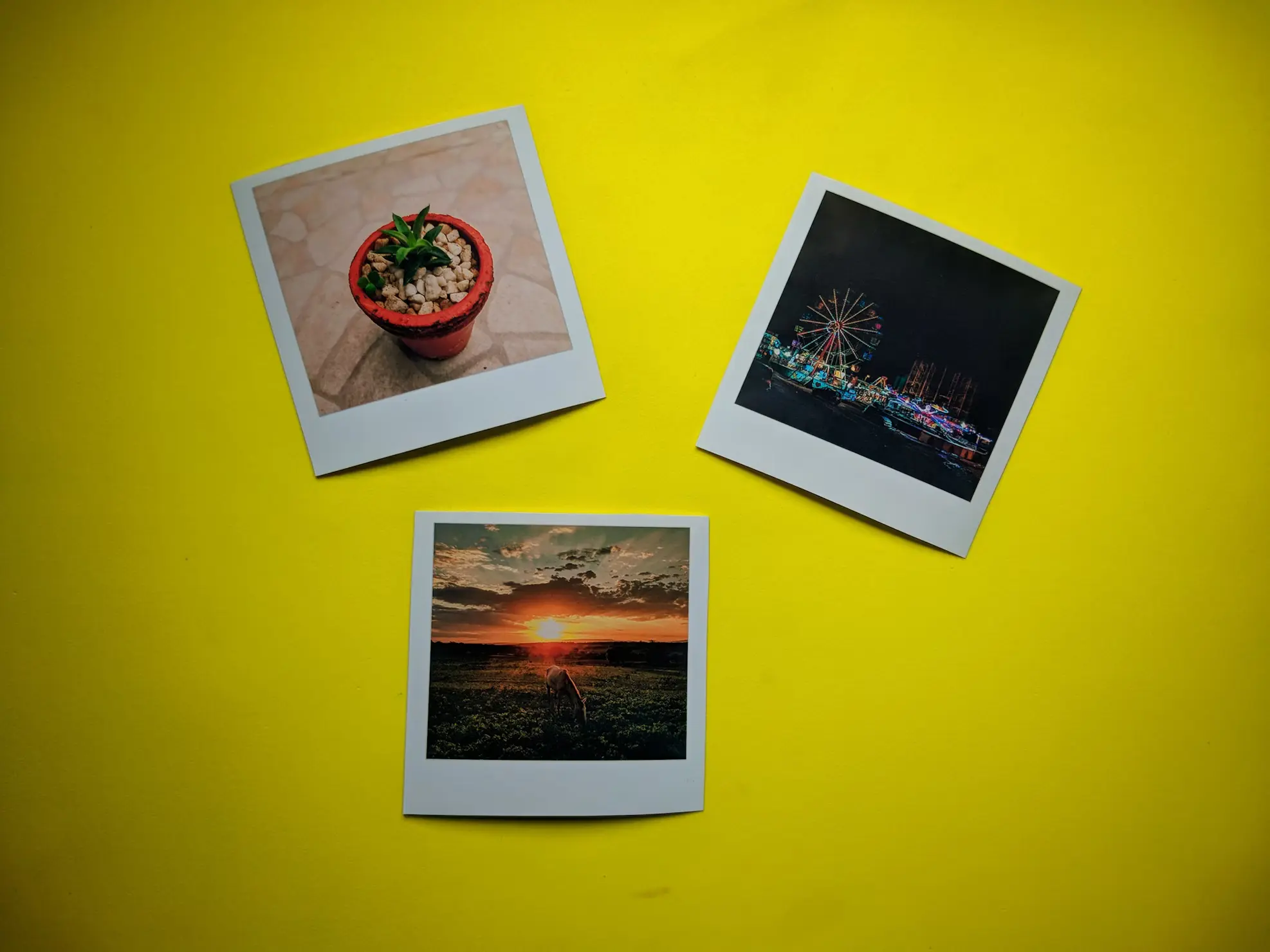 Pack 15 Imanes Fotográficos Pequeños - vista 2